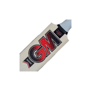 GM Radon Cricket Bat Short Handle