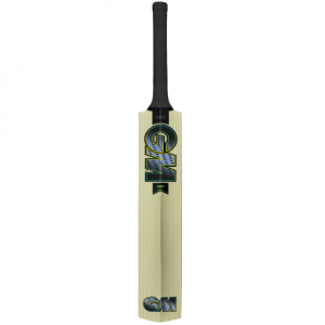 GM Aion Kashmir Willow SH Bat