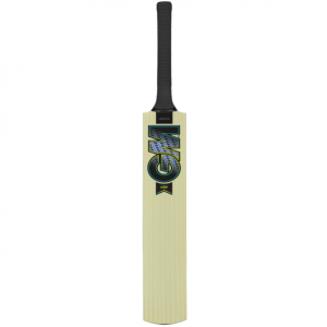 GM Aion Kashmir Willow Junior Bat