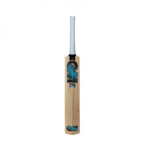 GM Diamond 202 Kashmir Willow Junior Bat