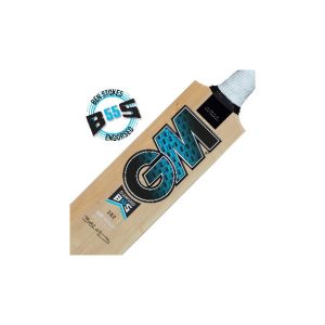 GM Diamond 202 Kashmir Willow SH Bat