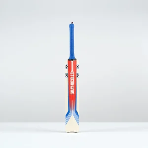 Gray Nicolls Thunder Stratos Junior Bat
