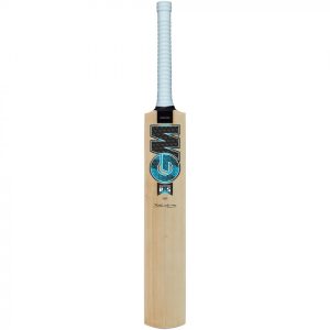 GM Diamond 101 Cricket Bat